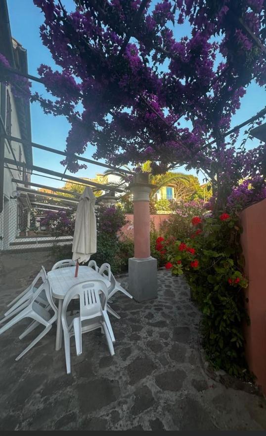 Maison Des Amis Βίλα Capraia Εξωτερικό φωτογραφία